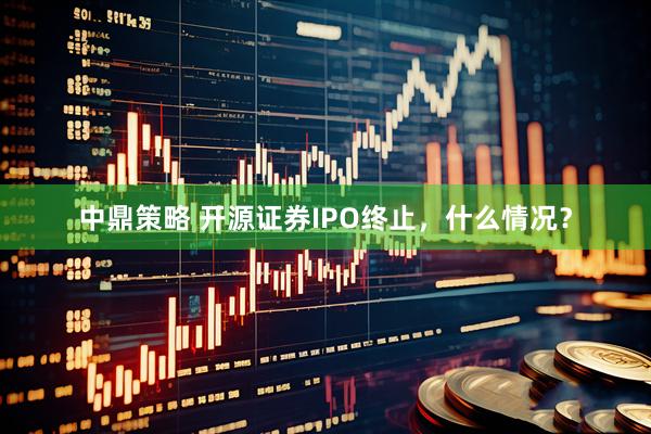 中鼎策略 开源证券IPO终止，什么情况？