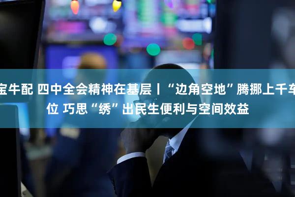 宝牛配 四中全会精神在基层丨“边角空地”腾挪上千车位&#32;巧思“绣”出民生便利与空间效益