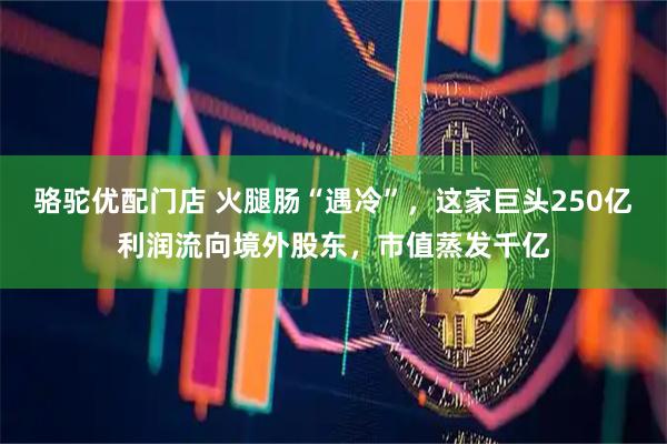 骆驼优配门店 火腿肠“遇冷”，这家巨头250亿利润流向境外股东，市值蒸发千亿