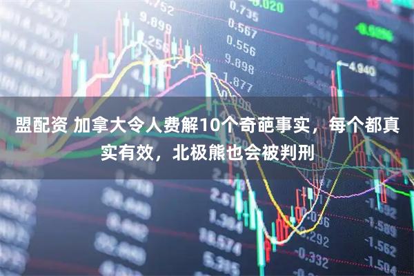 盟配资 加拿大令人费解10个奇葩事实，每个都真实有效，北极熊也会被判刑